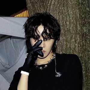 Meet your Posher, Sammie